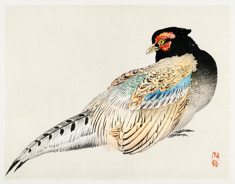 Peregrine falcon by Kōno Bairei (1844-1895). Digitally enhanced from our own original 1913 edition of Barei Gakan. Peregrine falcon by Kōno Bairei (1844-1895). Digitally enhanced from our own original 1913 edition of Barei Gakan.