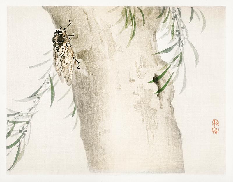 Insect by Kōno Bairei (1844-1895). Digitally enhanced from our own original 1913 edition of Barei Gakan. Insect by Kōno Bairei (1844-1895). Digitally enhanced from our own original 1913 edition of Barei Gakan.