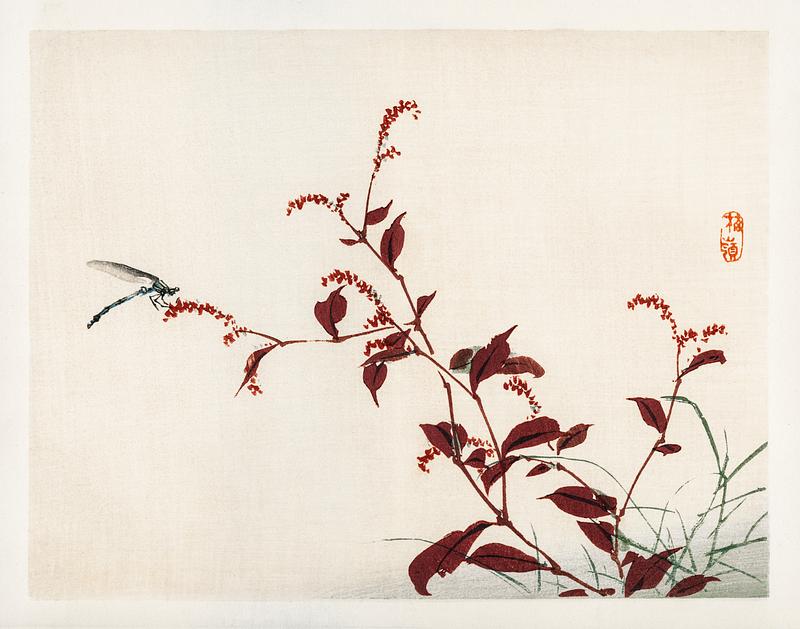 Dragonfly by Kōno Bairei (1844-1895). Digitally enhanced from our own original 1913 edition of Barei Gakan. Dragonfly by Kōno Bairei (1844-1895). Digitally enhanced from our own original 1913 edition of Barei Gakan.