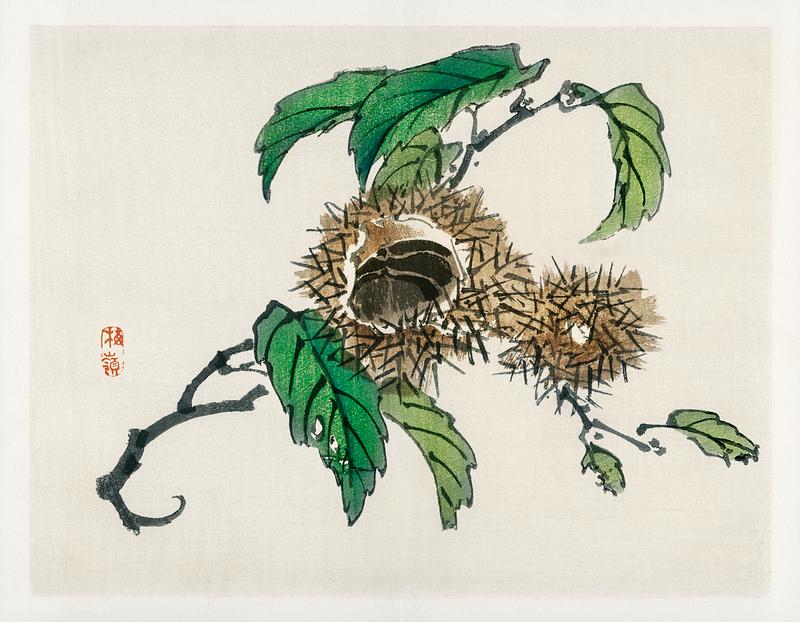 Chestnut by Kōno Bairei (1844-1895). Digitally enhanced from our own original 1913 edition of Barei Gakan. Chestnut by Kōno Bairei (1844-1895). Digitally enhanced from our own original 1913 edition of Barei Gakan.