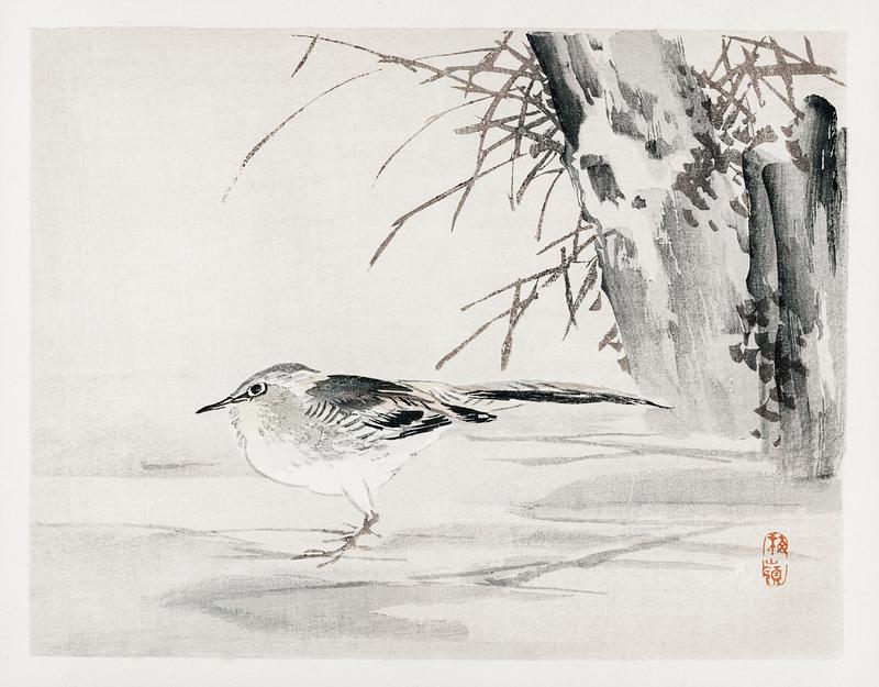 Spotted sandpiper by Kōno Bairei (1844-1895). Digitally enhanced from our own original 1913 edition of Barei Gakan. Spotted sandpiper by Kōno Bairei (1844-1895). Digitally enhanced from our own original 1913 edition of Barei Gakan.