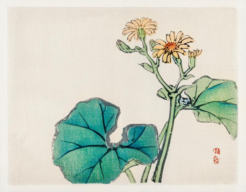 Leopard plant by Kōno Bairei (1844-1895). Digitally enhanced from our own original 1913 edition of Barei Gakan. Leopard plant by Kōno Bairei (1844-1895). Digitally enhanced from our own original 1913 edition of Barei Gakan.