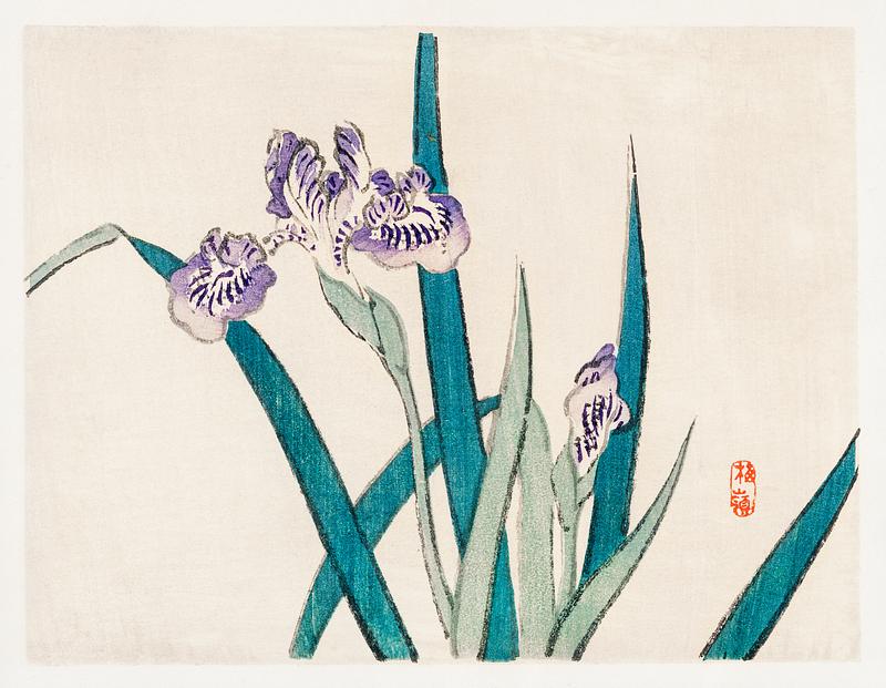 Irises by Kōno Bairei (1844-1895). Digitally enhanced from our own original 1913 edition of Barei Gakan. Irises by Kōno Bairei (1844-1895). Digitally enhanced from our own original 1913 edition of Barei Gakan.