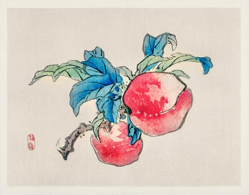 Peaches by Kōno Bairei (1844-1895). Digitally enhanced from our own original 1913 edition of Barei Gakan. Peaches by Kōno Bairei (1844-1895). Digitally enhanced from our own original 1913 edition of Barei Gakan.