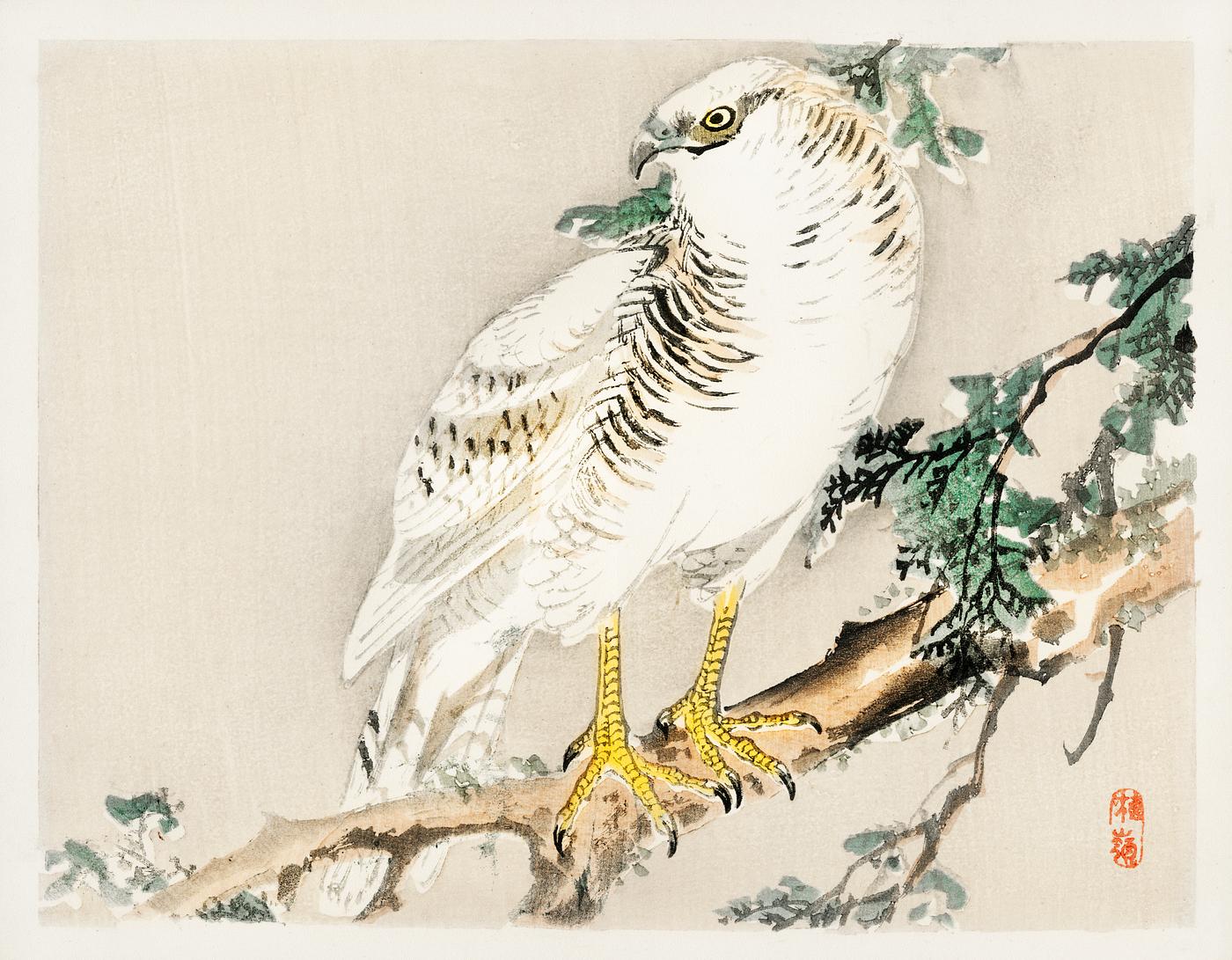 Northern mockingbird by Kōno Bairei (1844-1895). Digitally enhanced from our own original 1913 edition of Barei Gakan. Northern mockingbird by Kōno Bairei (1844-1895). Digitally enhanced from our own original 1913 edition of Barei Gakan.