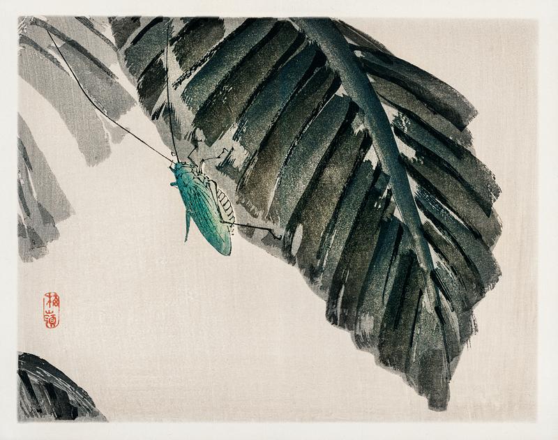 Insect on leaves by Kōno Bairei (1844-1895). Digitally enhanced from our own original 1913 edition of Barei Gakan. Insect on leaves by Kōno Bairei (1844-1895). Digitally enhanced from our own original 1913 edition of Barei Gakan.