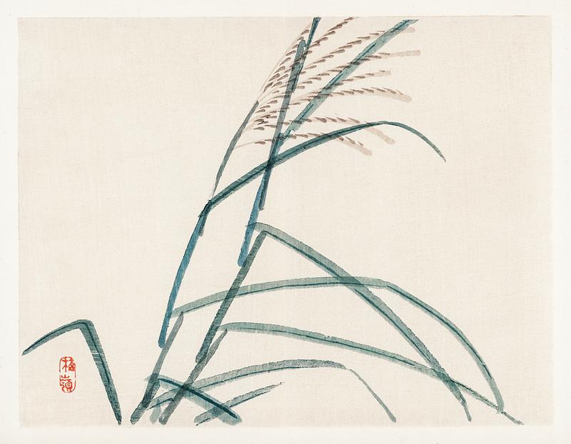 Poaceae by Kōno Bairei (1844-1895). Digitally enhanced from our own original 1913 edition of Barei Gakan. Poaceae by Kōno Bairei (1844-1895). Digitally enhanced from our own original 1913 edition of Barei Gakan.
