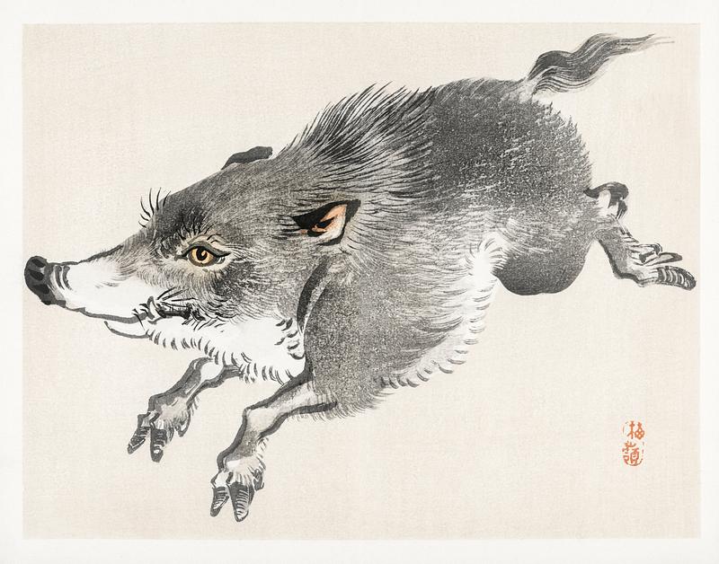 Wolf by Kōno Bairei (1844-1895). Digitally enhanced from our own original 1913 edition of Barei Gakan. Wolf by Kōno Bairei (1844-1895). Digitally enhanced from our own original 1913 edition of Barei Gakan.