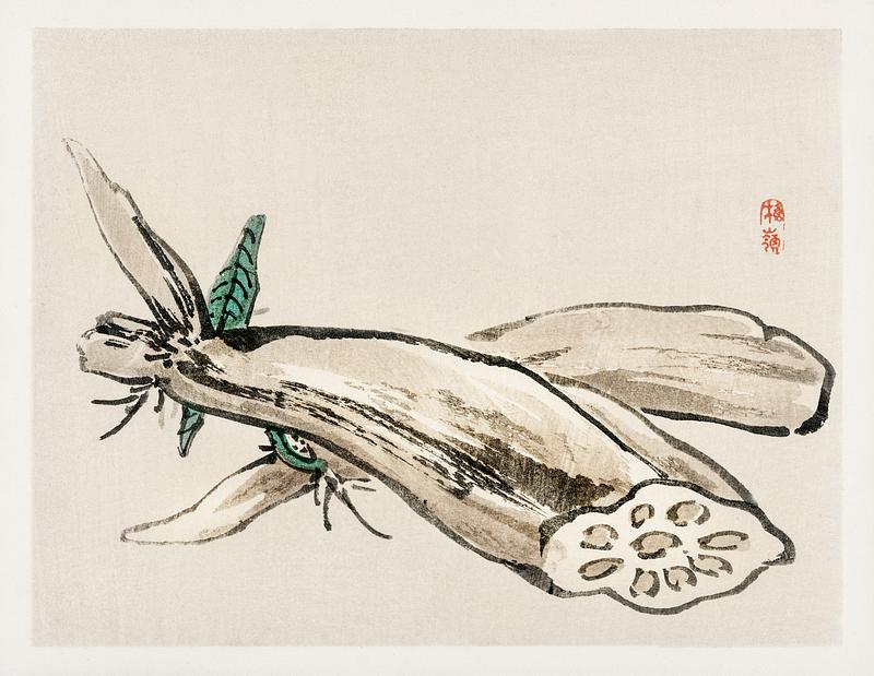Lotus Root by Kōno Bairei (1844-1895). Digitally enhanced from our own original 1913 edition of Barei Gakan. Lotus Root by Kōno Bairei (1844-1895). Digitally enhanced from our own original 1913 edition of Barei Gakan.