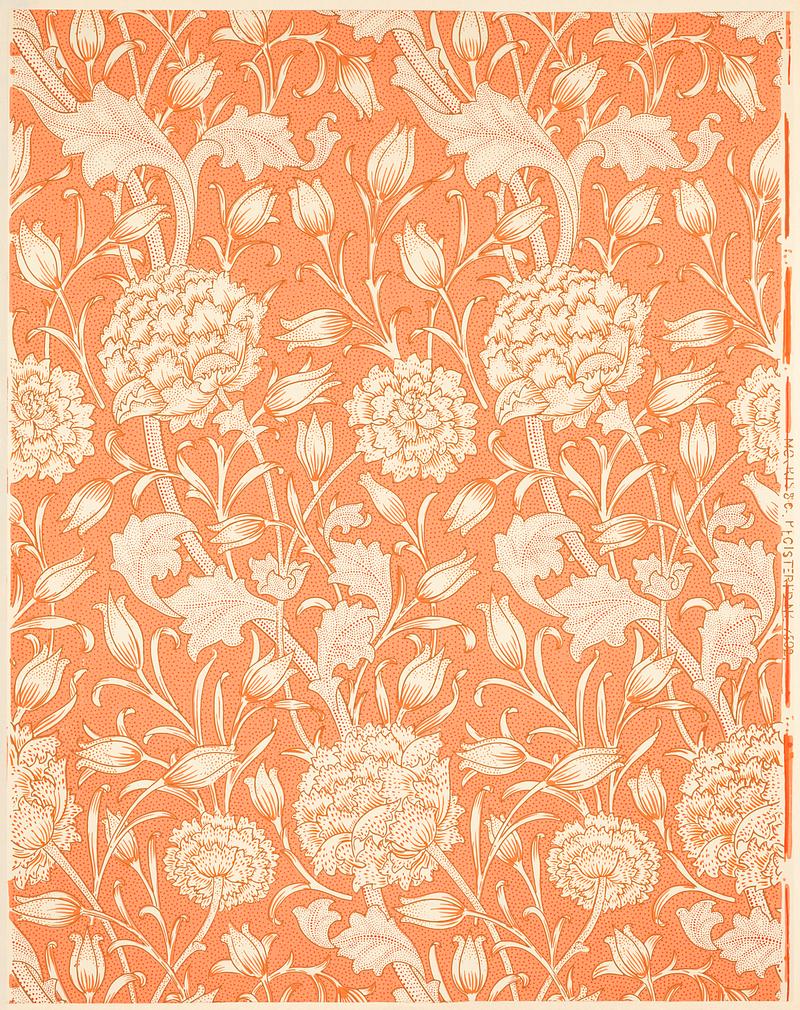 Wild Tulip by William Morris (1834-1896). Original from The MET Museum. Digitally enhanced by rawpixel. Wild Tulip by William Morris (1834-1896). Original from The MET Museum. Digitally enhanced by rawpixel.