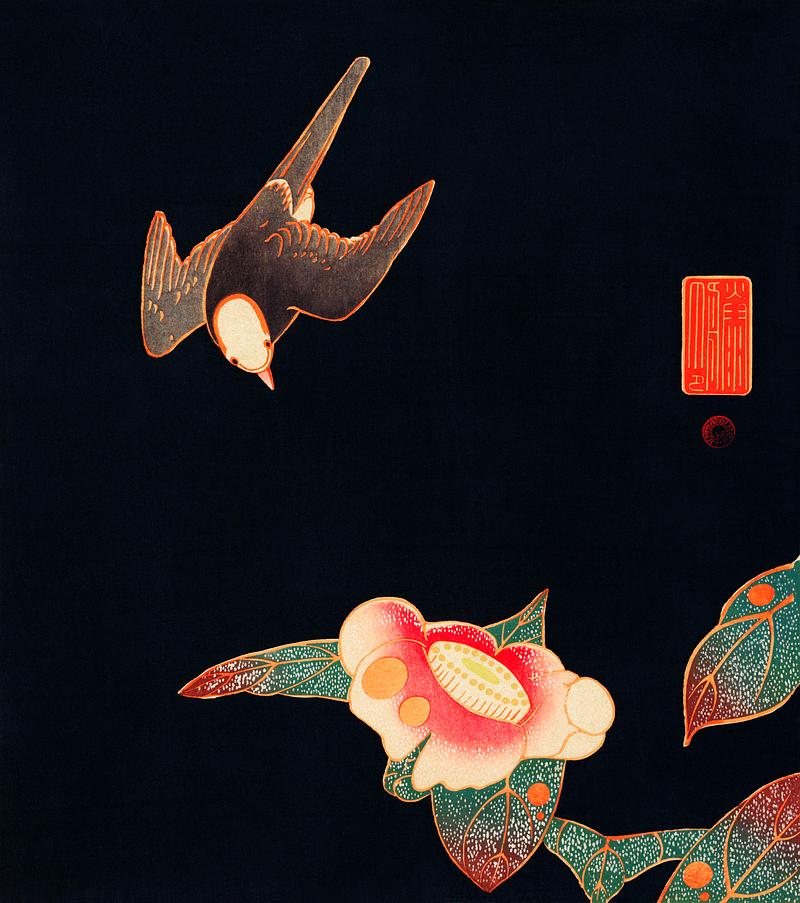 Swallow and Camellia (ca. 1900) illustration by Ito Jakuchu. Original from The MET Museum. Digitally enhanced by rawpixel. Swallow and Camellia (ca. 1900) illustration by Ito Jakuchu. Original from The MET Museum. Digitally enhanced by rawpixel.