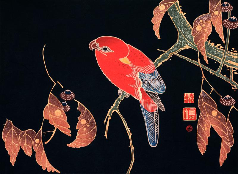Red Parrot on the Branch of a Tree (ca. 1900) by Ito Jakuchu. Original from The MET Museum. Digitally enhanced by rawpixel. Red Parrot on the Branch of a Tree (ca. 1900) by Ito Jakuchu. Original from The MET Museum. Digitally enhanced by rawpixel.