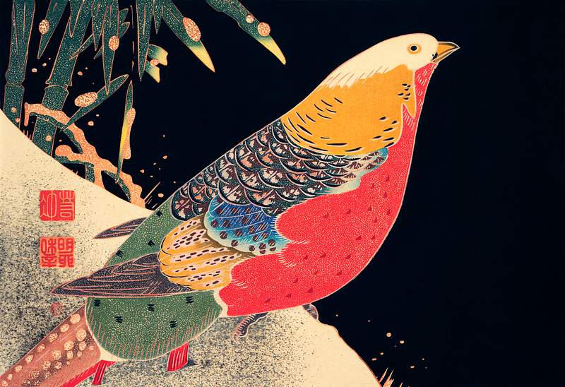 Golden Pheasant in the Snow (ca. 1900) illustration by Ito Jakuchu. Original from The MET Museum. Digitally enhanced by rawpixel. Golden Pheasant in the Snow (ca. 1900) illustration by Ito Jakuchu. Original from The MET Museum. Digitally enhanced by…