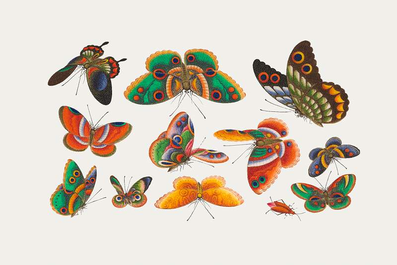 Chinese butterfly and insect painting from the Qing Dynasty (1644–1911) by anonymous. Original from The MET Museum.…
