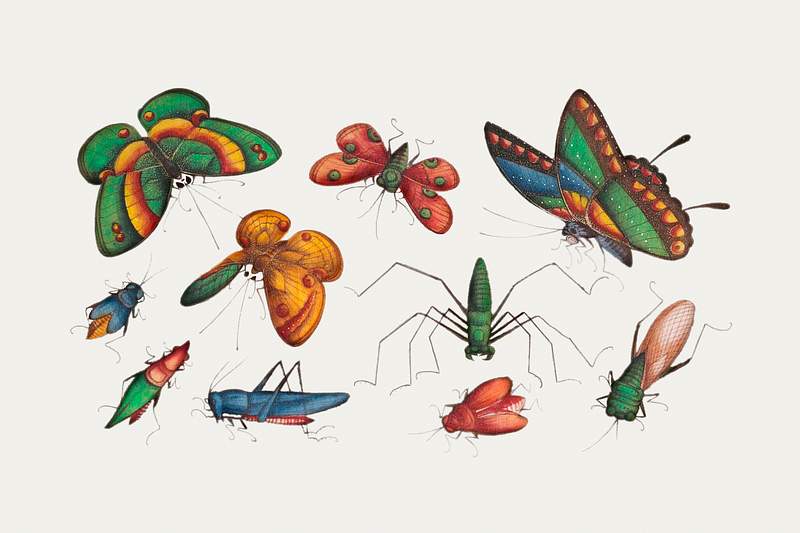 Chinese butterfly and insect painting from the Qing Dynasty (1644–1911) by anonymous. Original from The MET Museum.…