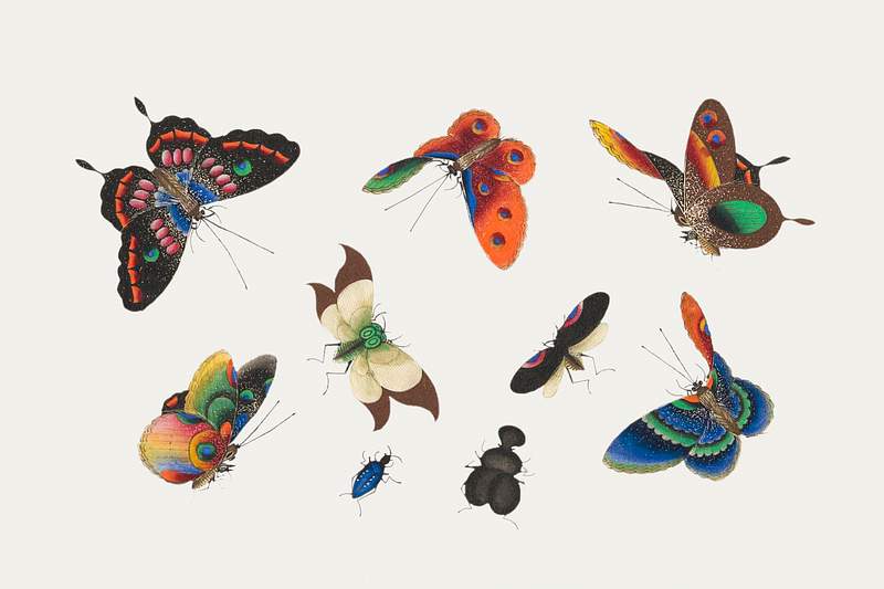 Chinese butterfly and insect painting from the Qing Dynasty (1644–1911) by anonymous. Original from The MET Museum.…