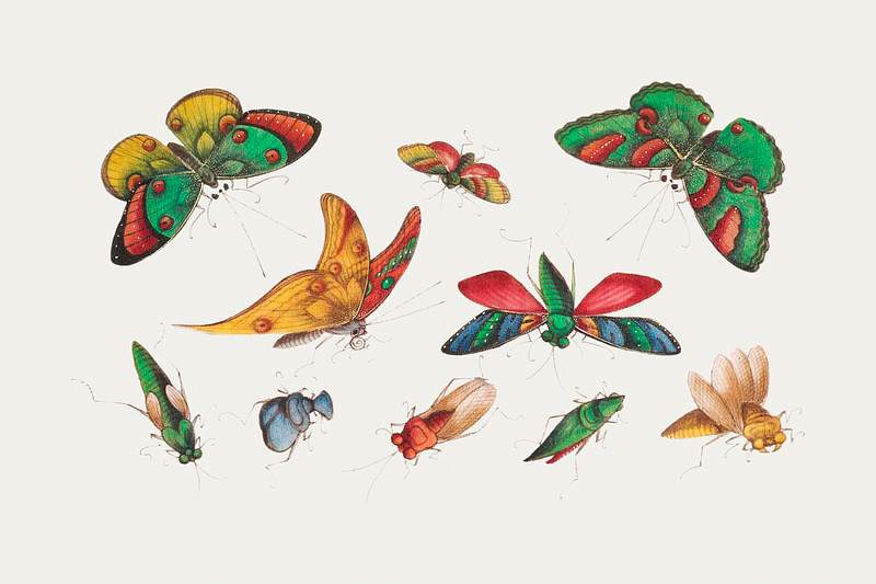 Chinese butterfly and insect painting from the Qing Dynasty (1644–1911) by anonymous. Original from The MET Museum.…