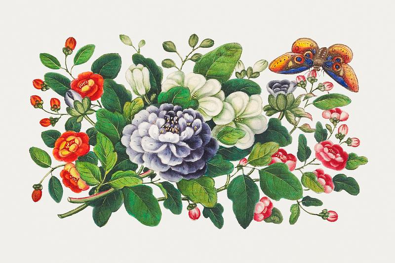Vintage Chinese botanical painting Chinese flower painting from the Qing Dynasty (1644–1911) by anonymous. Original from The MET Museum. Digitally…
