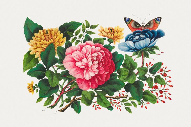 Vintage Chinese botanical painting Chinese peony painting from the Qing Dynasty (1644–1911) by anonymous. Original from The MET Museum. Digitally enhanced…