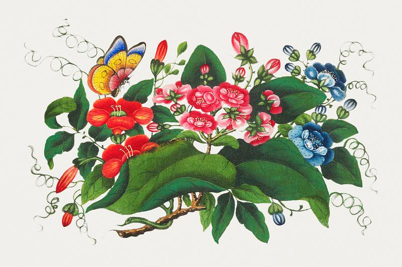 Vintage Chinese botanical painting Chinese flower painting from the Qing Dynasty (1644–1911) by anonymous. Original from The MET Museum. Digitally…
