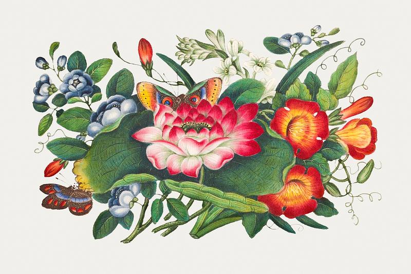 Vintage Chinese botanical painting Chinese lotus painting from the Qing Dynasty (1644–1911) by anonymous. Original from The MET Museum. Digitally enhanced…