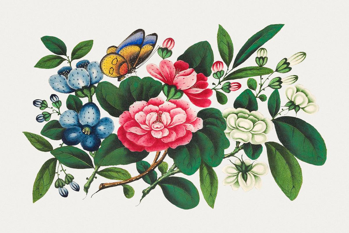 Vintage Chinese botanical painting | Free public domain illustration Chinese peony painting from the Qing Dynasty (1644–1911) by anonymous. Original from The MET Museum. Digitally enhanced…