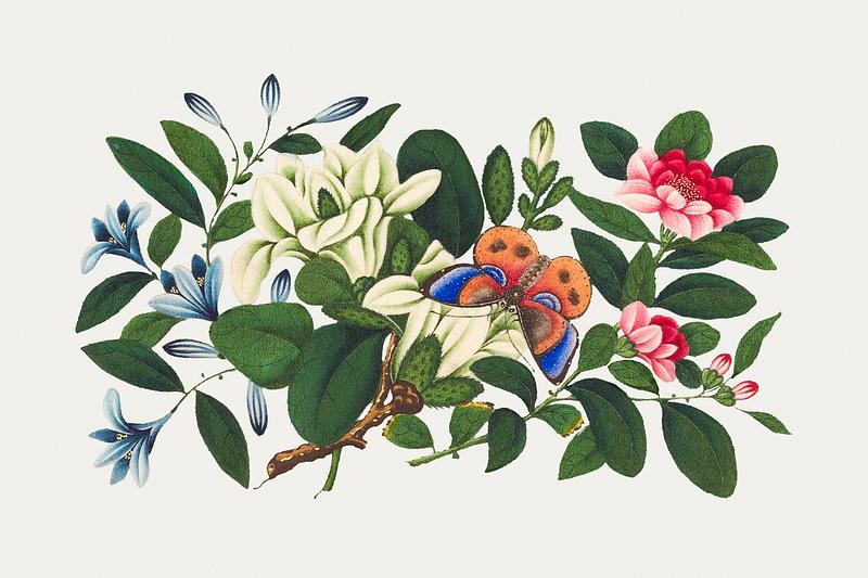 Vintage Chinese botanical painting Chinese flower painting from the Qing Dynasty (1644–1911) by anonymous. Original from The MET Museum. Digitally…