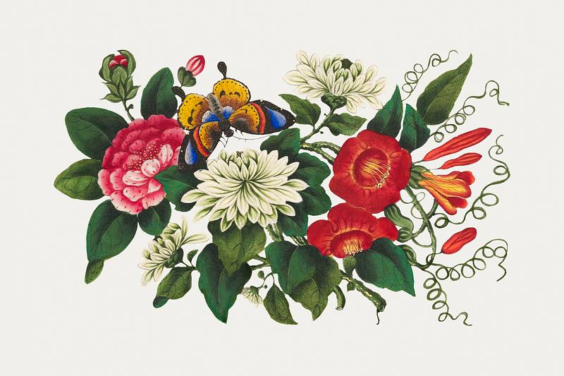 Vintage Chinese botanical painting Chinese flower painting from the Qing Dynasty (1644–1911) by anonymous. Original from The MET Museum. Digitally…