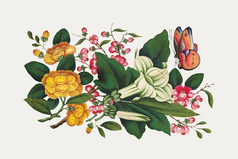 Vintage Chinese botanical painting Chinese flower painting from the Qing Dynasty (1644–1911) by anonymous. Original from The MET Museum. Digitally…
