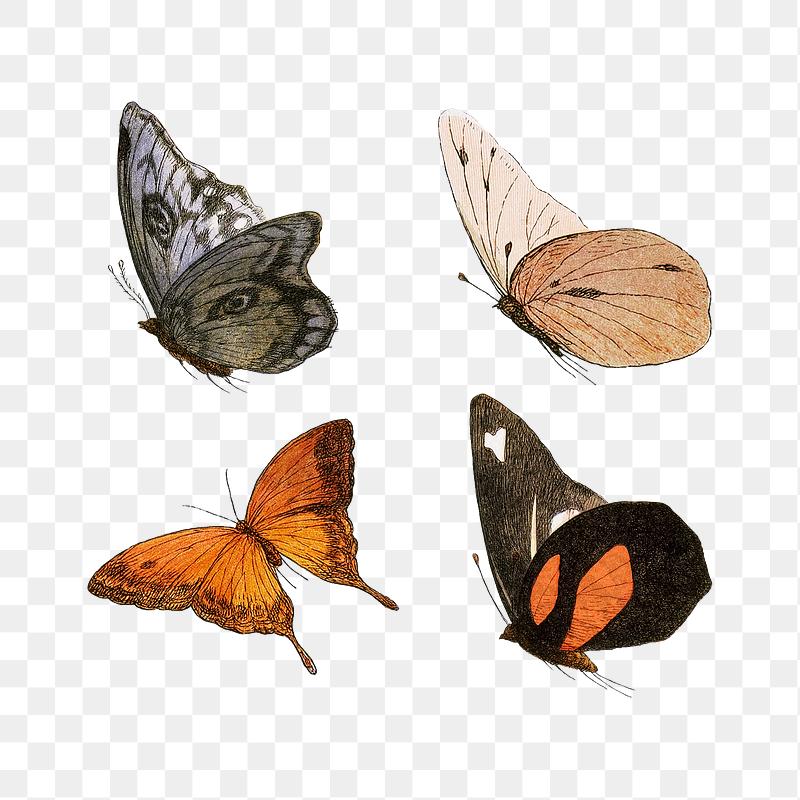 pots and butterfly sticker set royalty free stock transparent png