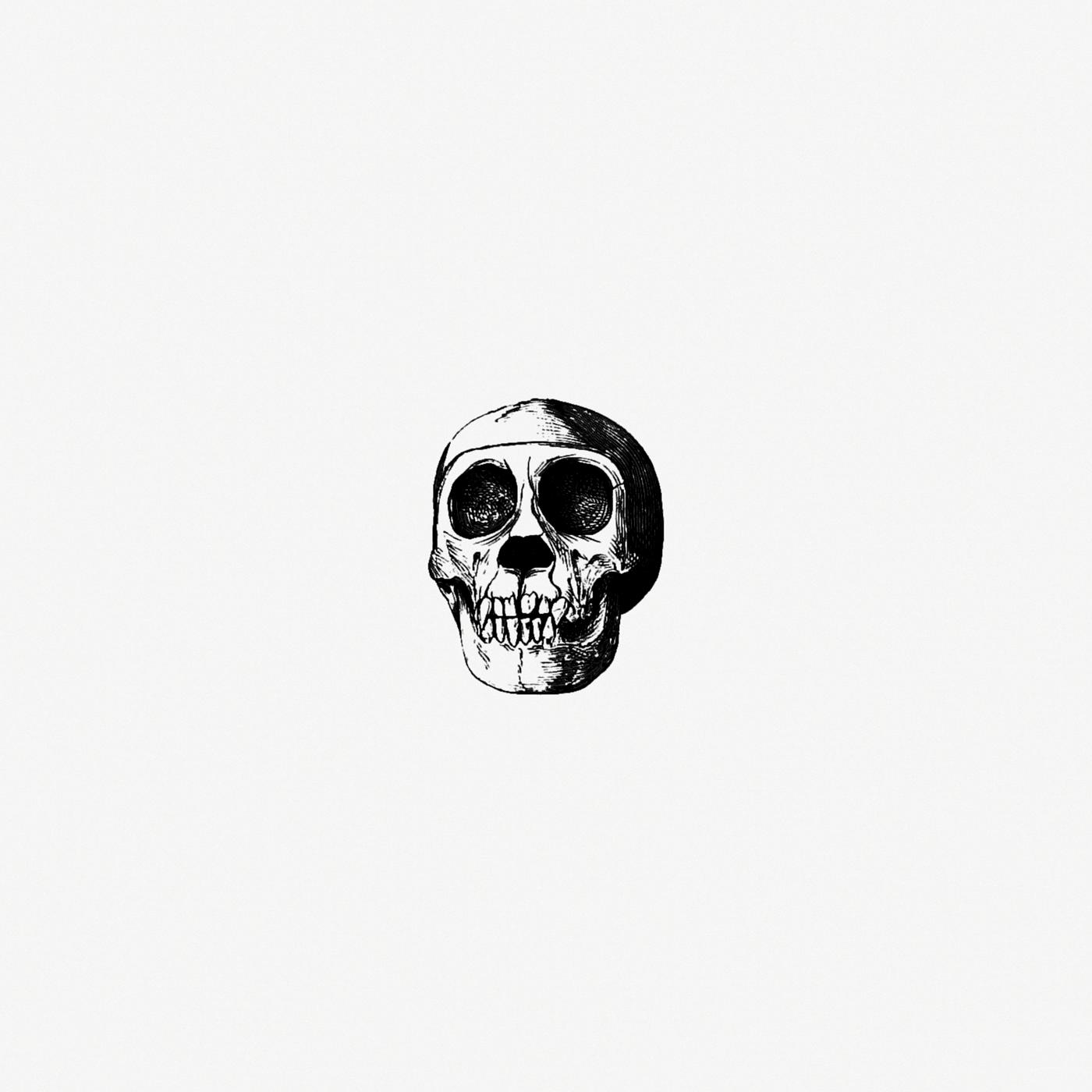 Vintage skull from Voyages and Adventures in Equatorial Africa... French Edition, Revised and Expanded (1863). Original from... Vintage skull from Voyages and Adventures in Equatorial Africa... French Edition, Revised and Expanded (1863). Original from...