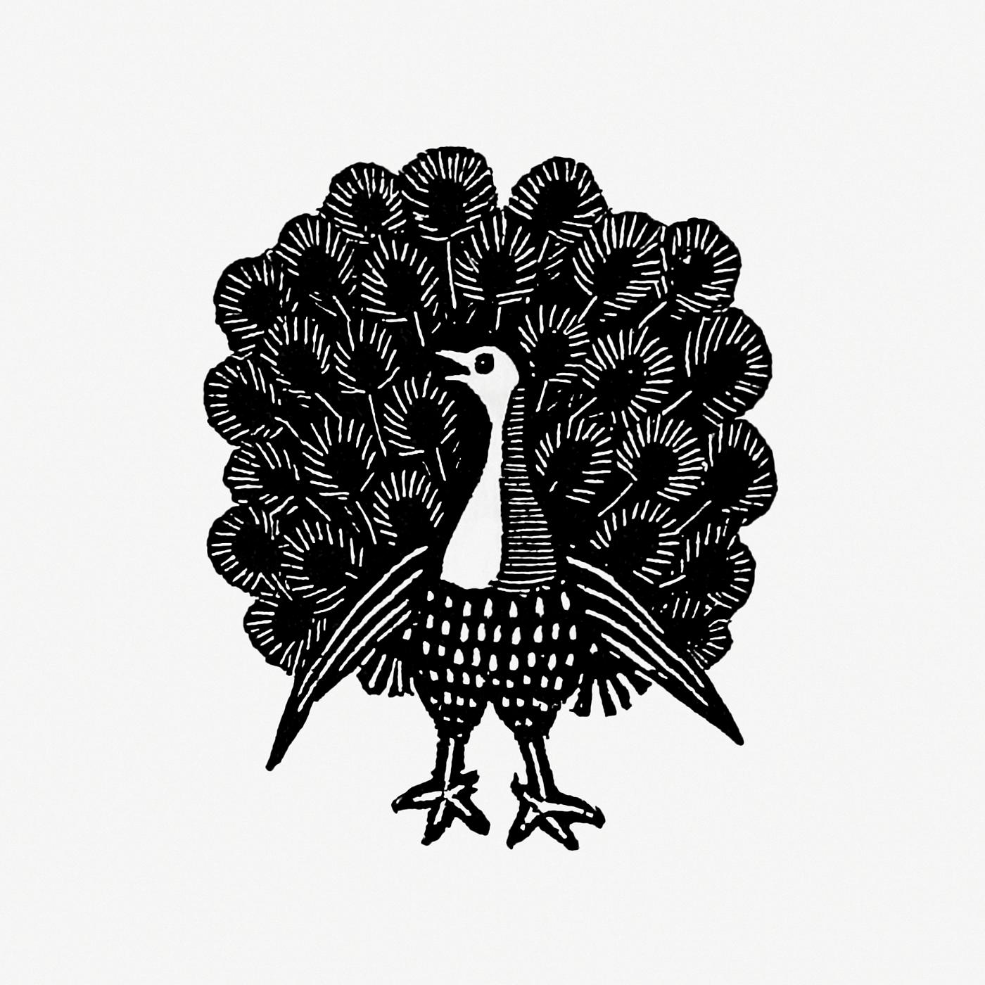 Vintage Victorian style peacock engraving. Original from the British Library. Digitally enhanced by rawpixel. Vintage Victorian style peacock engraving. Original from the British Library. Digitally enhanced by rawpixel.