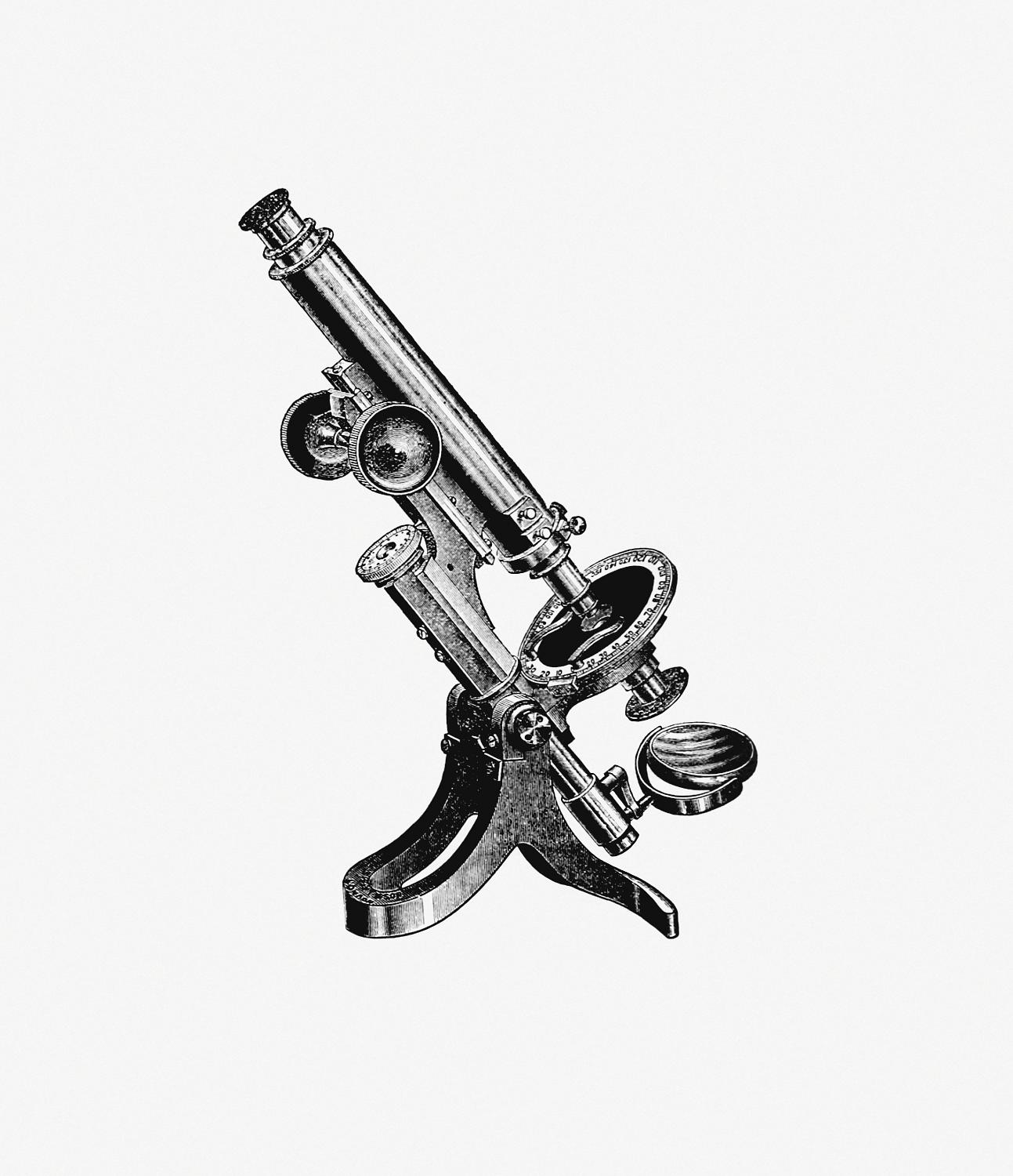 Vintage microscope illustration Vintage Victorian style microscope engraving. Original from the British Library. Digitally enhanced by rawpixel.