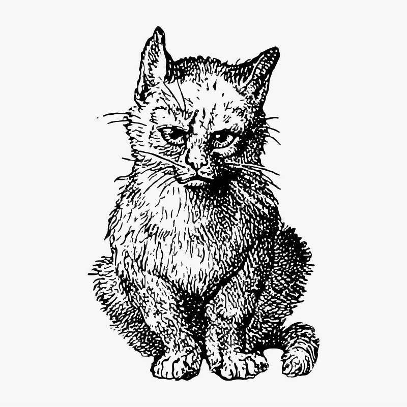 Vintage Cats Illustration Vintage Cats Illustration