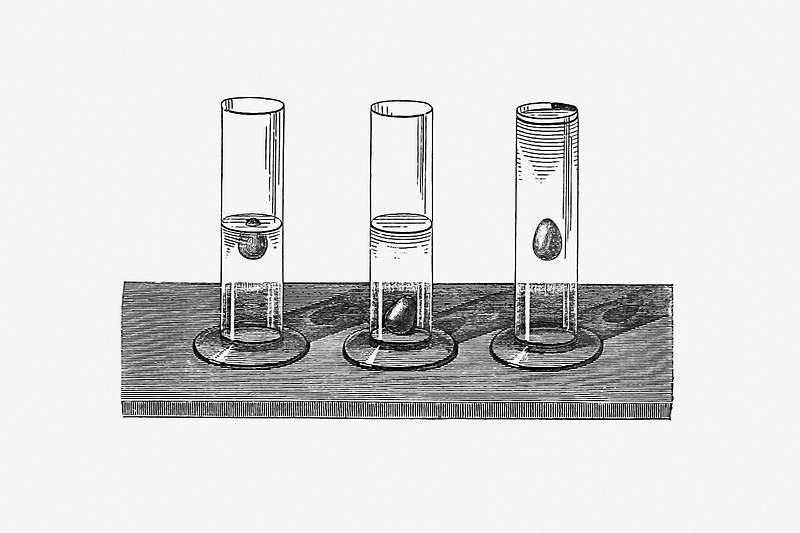 Egg test scientific experiment Eggs in salted water and in pure water from Six Weeks Of Vacation (1880) published by Paul Poiré. Original from the British…