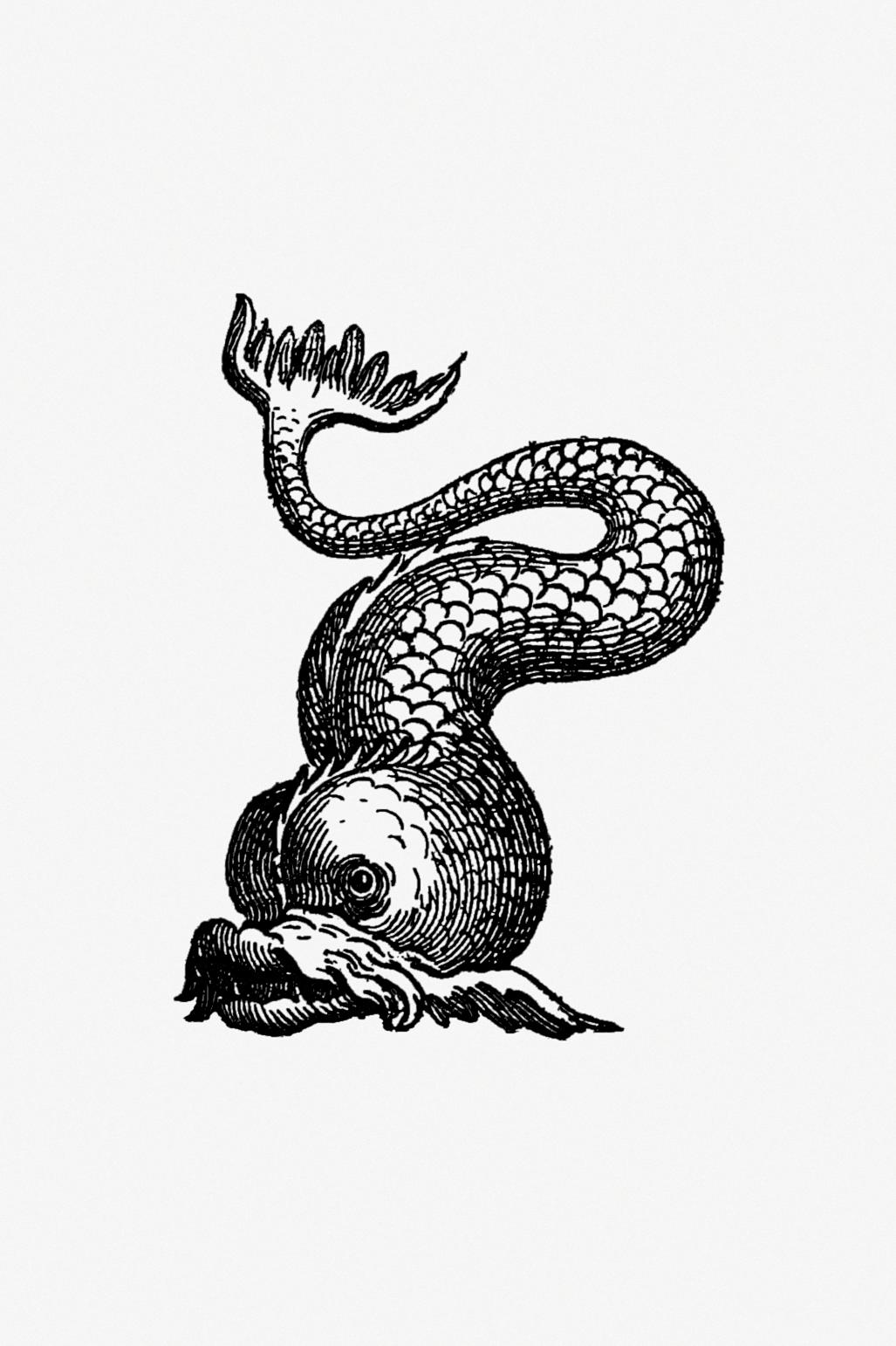 Aquatic creature in vintage style Aquatic creature from Real Sailor-Songs. Collected and Edited by J. Ashton. Two Hundred Illustrations published by...
