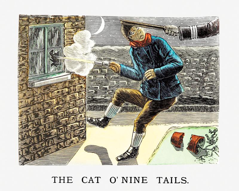 Burglar of the night The Cat O'nine tails from Un-Natural History Not Taught In Bored Schools, etc published by Simpkin, Marshall & Co. (1883).…