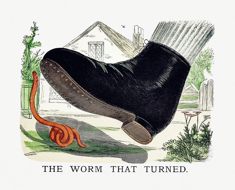 Stepping on a worm vintage artwork The worm that turned from Un-Natural History Not Taught In Bored Schools, etc published by Simpkin, Marshall & Co. (1883).…