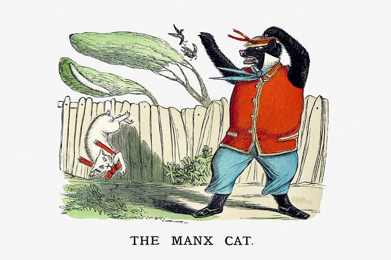 The Manx cat in clothes The manx cat from Un-Natural History Not Taught In Bored Schools, etc published by Simpkin, Marshall & Co. (1883). Original…