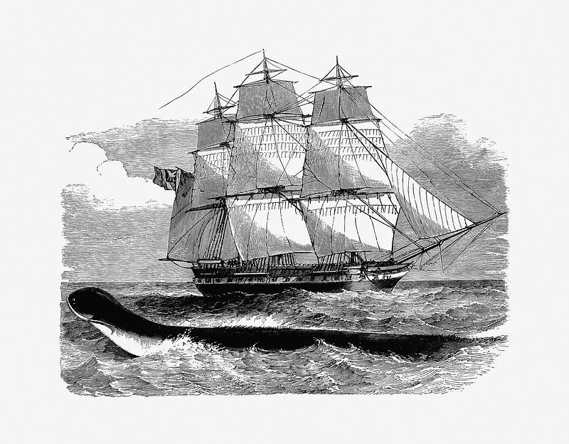 Ship on the ocean | Free public domain illustration The Great Sea-Serpent When First Seen From H.M.S Daedalus from The Sea, Its Stirring Story Of Adventure, Peril & Heroism…