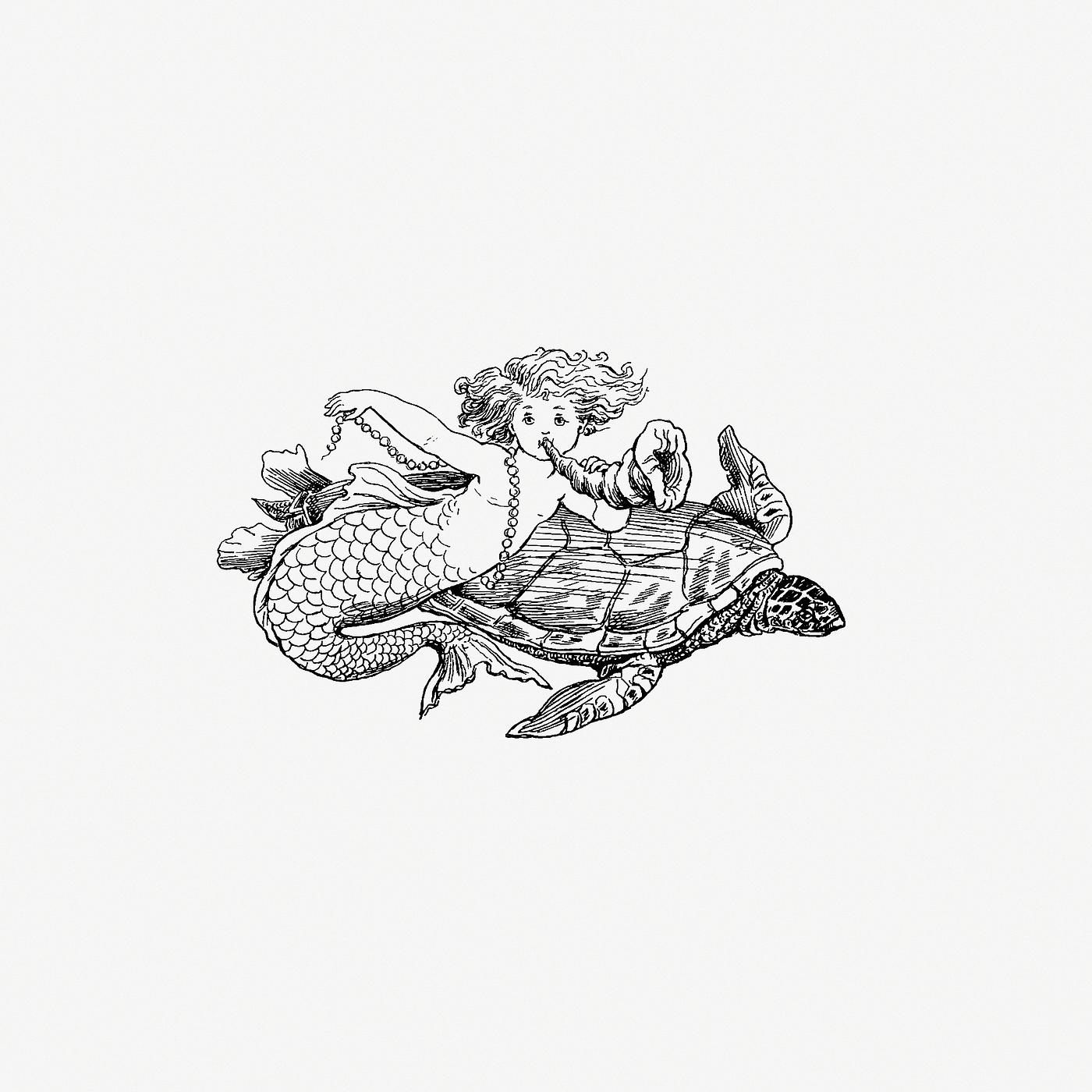 Mermaid and a turtle vintage drawing Mermaid from The Story Of The Mermaiden, Adapted From The German Of Hans Andersen illustrated by Laura Troubridge (1888)....