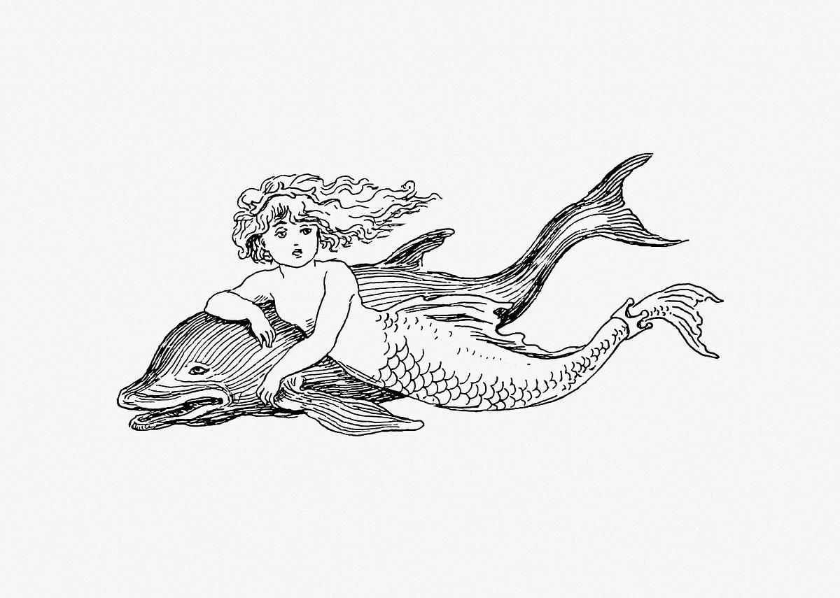 pix Public Domain Vintage Mermaid Illustration rawpixel