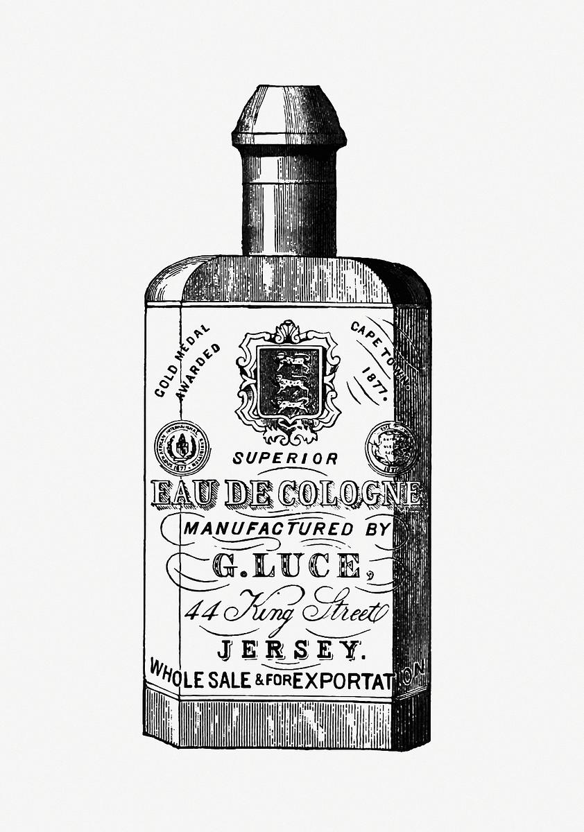 Cologne bottle in vintage style | Free public domain illustration Cologne bottle from Jersey Illustrated, Etc, Appendix published by Jersey Commercial Association (1890). Original from the…
