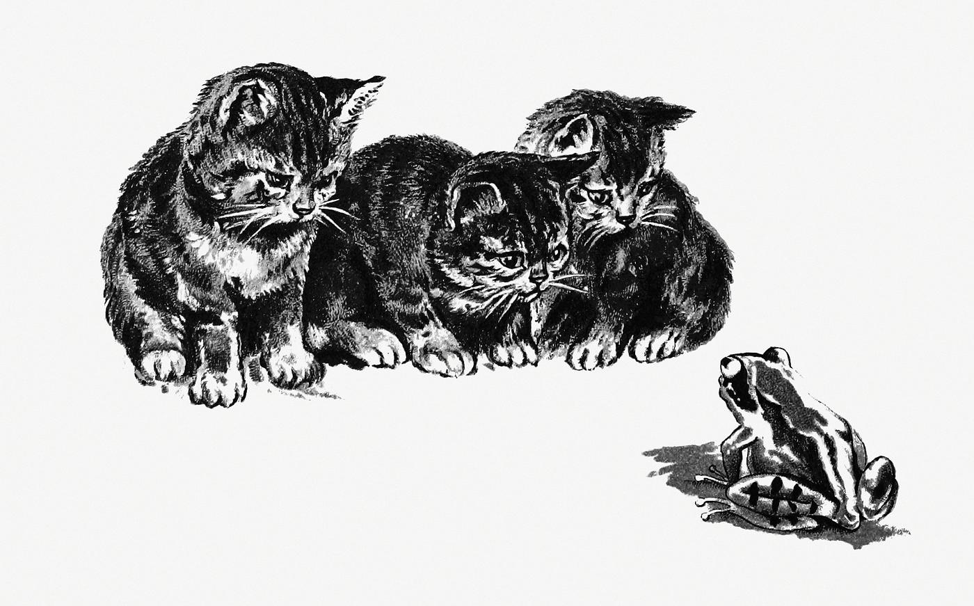 Kittens and a toad from Cherry Cheeks And Roses published by Ernest Nister (1890). Original from the British Library.... Kittens and a toad from Cherry Cheeks And Roses published by Ernest Nister (1890). Original from the British Library....