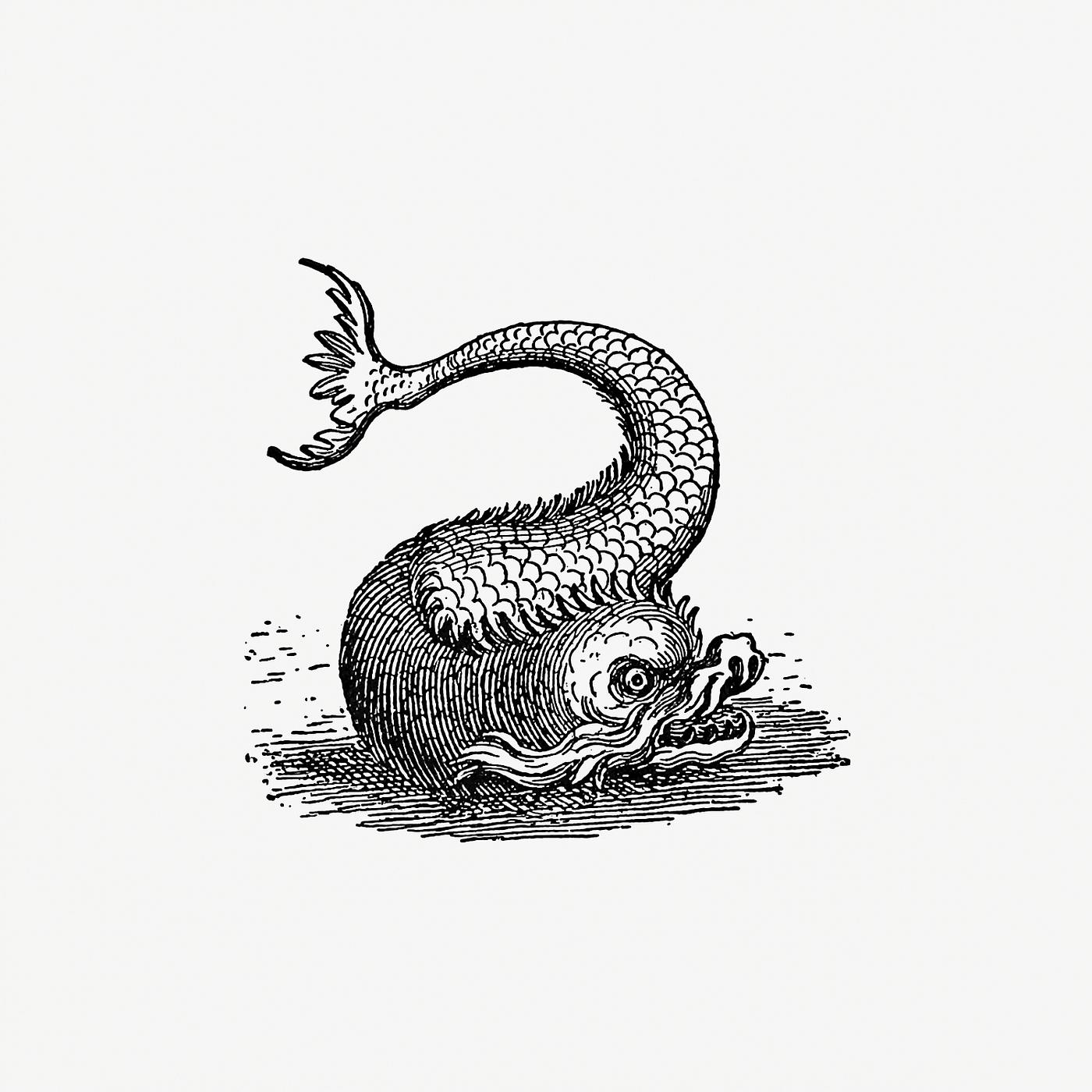 Fish creature from Real Sailor-Songs. Collected And Edited By J. Ashton. Two Hundred Illustrations published by Leadenhall... Fish creature from Real Sailor-Songs. Collected And Edited By J. Ashton. Two Hundred Illustrations published by Leadenhall...