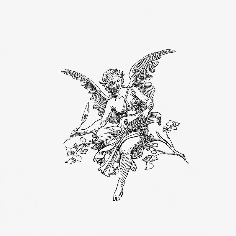 Female angel vintage drawing | Free public domain illustration Feminine angel from The Austro-Hungarian Monarchy In Speech And Image. Rudolf, A Prince Of The Prince Of Trinity, On His…