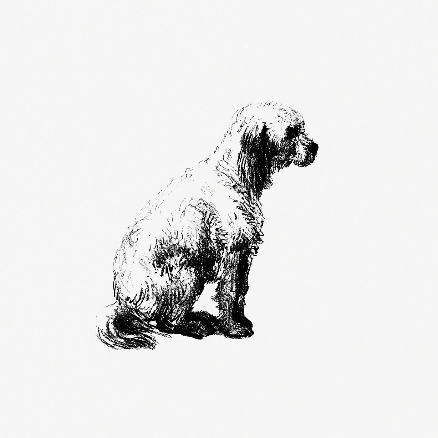 Vintage European style dog engraving by
Philozoia, or, Moral reflections on the actual condition of the animal kingdom, and... Vintage European style dog engraving by
Philozoia, or, Moral reflections on the actual condition of the animal kingdom, and...
