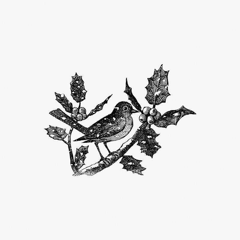Winter bird in vintage style Vintage winter bird etching illustration