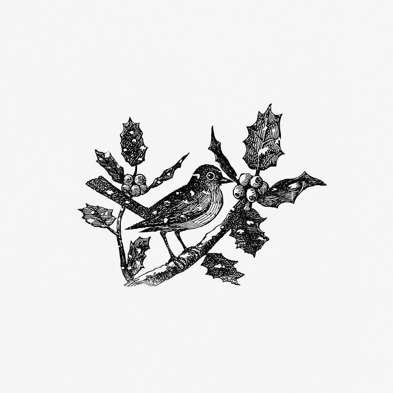Winter bird in vintage style Vintage winter bird etching illustration from The Baby's Museum; or, Rhymes, jingles and ditties, newly arranged by Uncle…