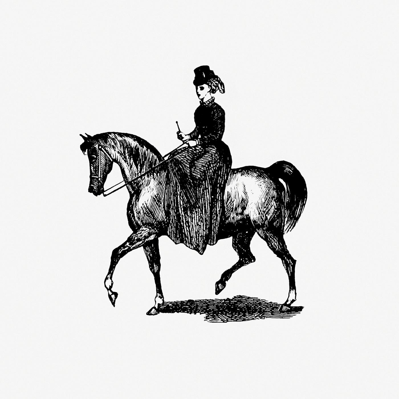 Vintage European style horseback riding of a lady engraving from London (illustrated). A complete guide to the leading... Vintage European style horseback riding of a lady engraving from London (illustrated). A complete guide to the leading...